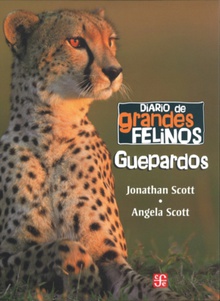 Diario de grandes felinos : Guepardos