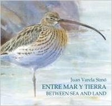 Entre Mar y Tierra / Between Sea and Land Las Marismas del Sur-The southern marshes