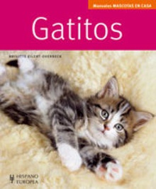 Gatitos (mascotas en casa)
