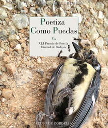 Poetiza como puedas XLI Premio de Poesía Ciudad de Badajoz